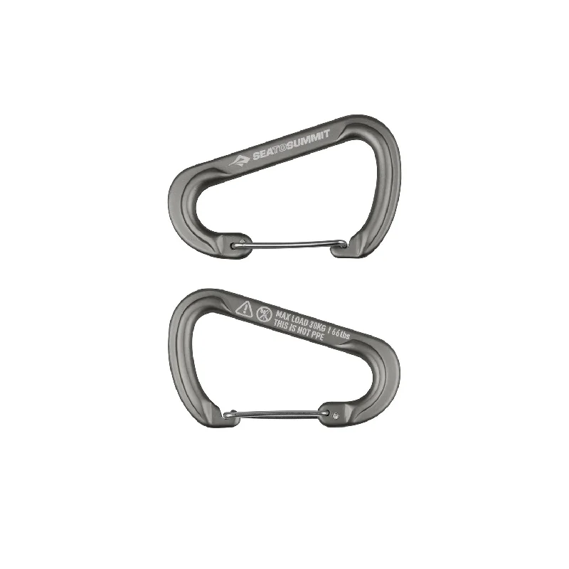 Lightweight camping camp table-Sea to Summit Large Accessory Carabiners (Pack of 2)